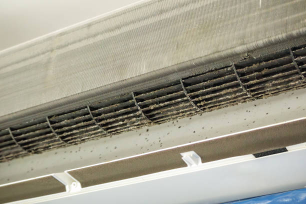 Best Duct Cleaning for Offices  in Louisiana, MO